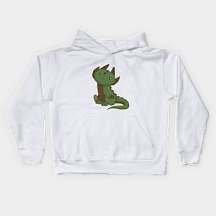 Cute Drake dragon Kids Hoodie